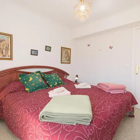 24 The Palm - Alicante * La Mata (Torrevieja)
